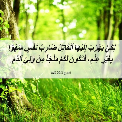 Picture 06 - يَشُوع 20:3 AVD - لِكَيْ يَهْرُبَ إِلَيْهَا - Bible Verse Picture