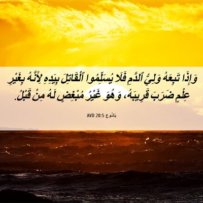 Picture 06 - يَشُوع 20:5 AVD - وَإِذَا تَبِعَهُ وَلِيُّ - Bible Verse Picture