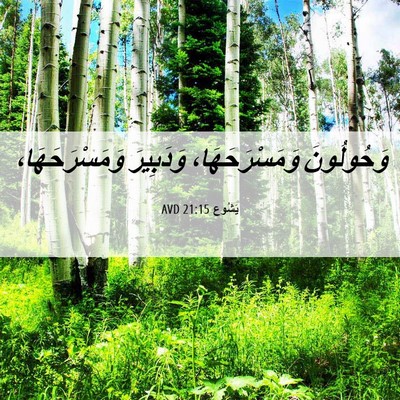 Picture 06 - يَشُوع 21:15 AVD - وَحُولُونَ وَمَسْرَحَهَا، - Bible Verse Picture