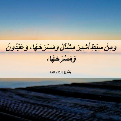 Picture 06 - يَشُوع 21:30 AVD - وَمِنْ سِبْطِ أَشِيرَ - Bible Verse Picture