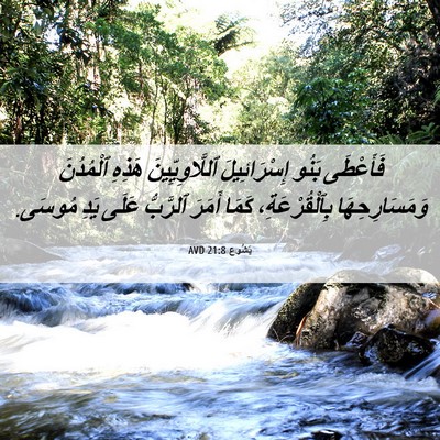 Picture 06 - يَشُوع 21:8 AVD - فَأَعْطَى بَنُو - Bible Verse Picture