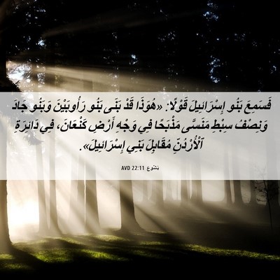 Picture 06 - يَشُوع 22:11 AVD - فَسَمِعَ بَنُو - Bible Verse Picture