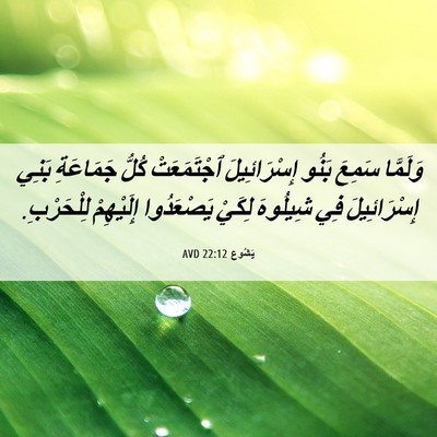 Picture 06 - يَشُوع 22:12 AVD - وَلَمَّا سَمِعَ بَنُو - Bible Verse Picture