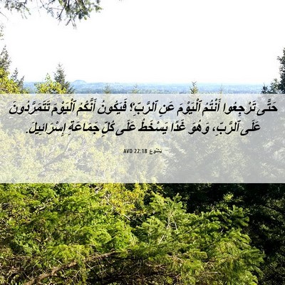 Picture 06 - يَشُوع 22:18 AVD - حَتَّى تَرْجِعُوا - Bible Verse Picture