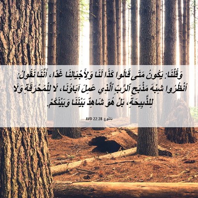 Picture 06 - يَشُوع 22:28 AVD - وَقُلْنَا: يَكُونُ مَتَى - Bible Verse Picture