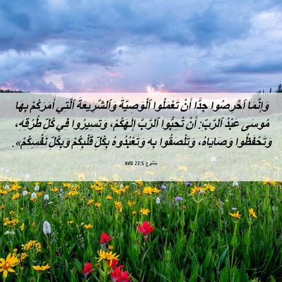Picture 06 - يَشُوع 22:5 AVD - وَإِنَّمَا ٱحْرِصُوا - Bible Verse Picture