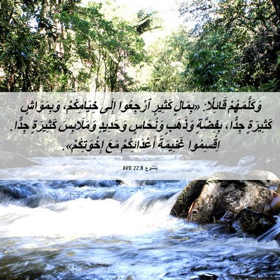 Picture 06 - يَشُوع 22:8 AVD - وَكَلَّمَهُمْ قَائِلًا: - Bible Verse Picture