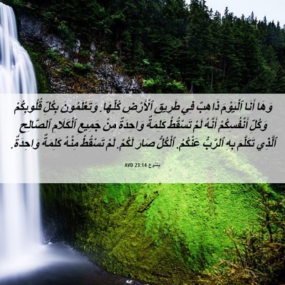 Picture 06 - يَشُوع 23:14 AVD - وَهَا أَنَا ٱلْيَوْمَ - Bible Verse Picture