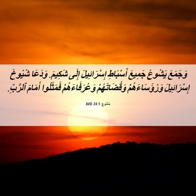 Picture 06 - يَشُوع 24:1 AVD - وَجَمَعَ يَشُوعُ جَمِيعَ - Bible Verse Picture