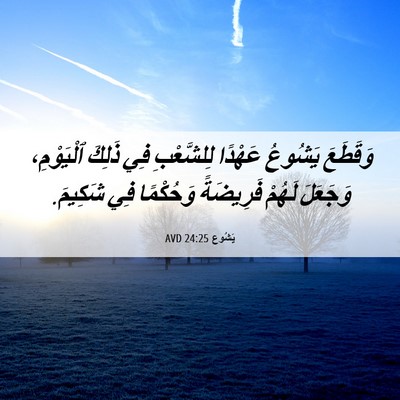 Picture 06 - يَشُوع 24:25 AVD - وَقَطَعَ يَشُوعُ عَهْدًا - Bible Verse Picture