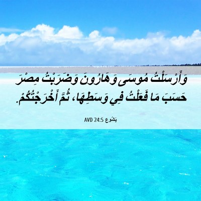 Picture 06 - يَشُوع 24:5 AVD - وَأَرْسَلْتُ مُوسَى - Bible Verse Picture