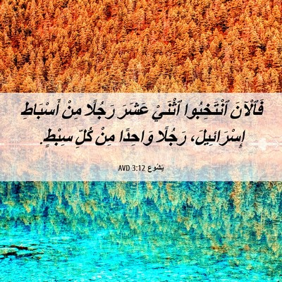 Picture 06 - يَشُوع 3:12 AVD - فَٱلْآنَ ٱنْتَخِبُوا - Bible Verse Picture