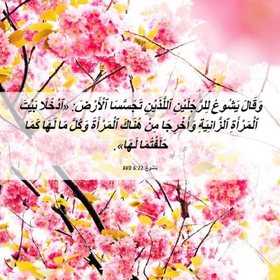 Picture 06 - يَشُوع 6:22 AVD - وَقَالَ يَشُوعُ - Bible Verse Picture