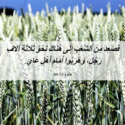 Picture 06 - يَشُوع 7:4 AVD - فَصَعِدَ مِنَ ٱلشَّعْبِ - Bible Verse Picture