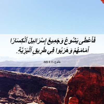 Picture 06 - يَشُوع 8:15 AVD - فَأَعْطَى يَشُوعُ - Bible Verse Picture
