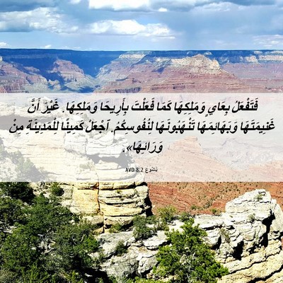 Picture 06 - يَشُوع 8:2 AVD - فَتَفْعَلُ بِعَايٍ - Bible Verse Picture