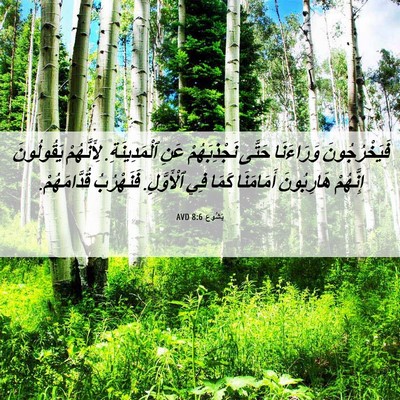 Picture 06 - يَشُوع 8:6 AVD - فَيَخْرُجُونَ وَرَاءَنَا - Bible Verse Picture