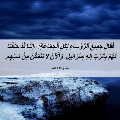 Picture 06 - يَشُوع 9:19 AVD - فَقَالَ جَمِيعُ - Bible Verse Picture