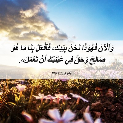 Picture 06 - يَشُوع 9:25 AVD - وَٱلْآنَ فَهُوَذَا نَحْنُ - Bible Verse Picture
