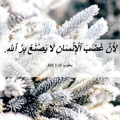 Picture 06 - يَعقُوب 1:20 AVD - لِأَنَّ غَضَبَ - Bible Verse Picture