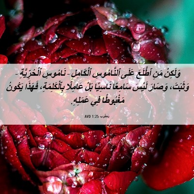 Picture 06 - يَعقُوب 1:25 AVD - وَلَكِنْ مَنِ ٱطَّلَعَ - Bible Verse Picture