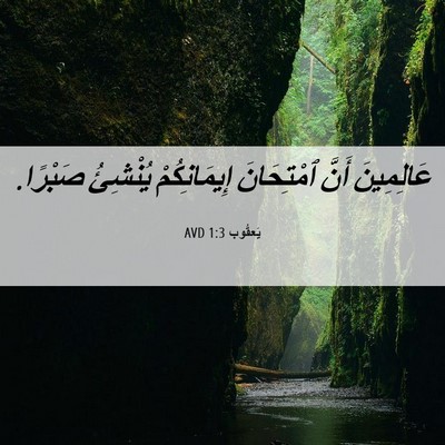 Picture 06 - يَعقُوب 1:3 AVD - عَالِمِينَ أَنَّ - Bible Verse Picture