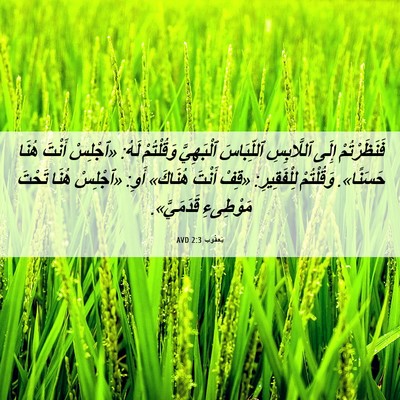 Picture 06 - يَعقُوب 2:3 AVD - فَنَظَرْتُمْ إِلَى - Bible Verse Picture