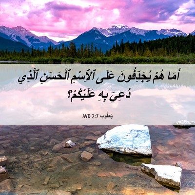 Picture 06 - يَعقُوب 2:7 AVD - أَمَا هُمْ يُجَدِّفُونَ - Bible Verse Picture