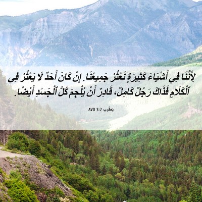 Picture 06 - يَعقُوب 3:2 AVD - لِأَنَّنَا فِي أَشْيَاءَ - Bible Verse Picture