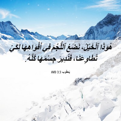 Picture 06 - يَعقُوب 3:3 AVD - هُوَذَا ٱلْخَيْلُ، نَضَعُ - Bible Verse Picture
