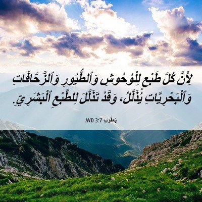 Picture 06 - يَعقُوب 3:7 AVD - لِأَنَّ كُلَّ طَبْعٍ - Bible Verse Picture