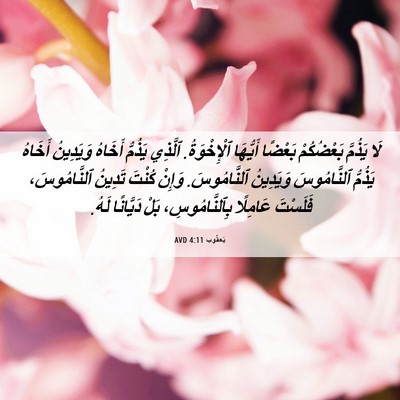 Picture 06 - يَعقُوب 4:11 AVD - لَا يَذُمَّ بَعْضُكُمْ - Bible Verse Picture
