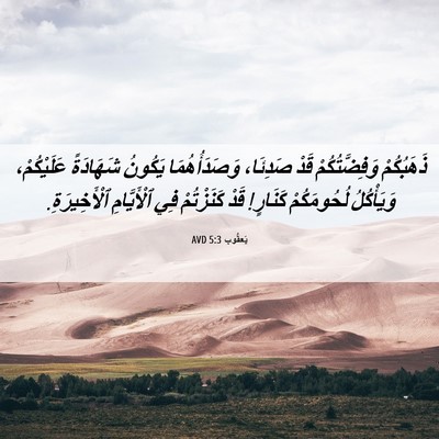 Picture 06 - يَعقُوب 5:3 AVD - ذَهَبُكُمْ وَفِضَّتُكُمْ - Bible Verse Picture