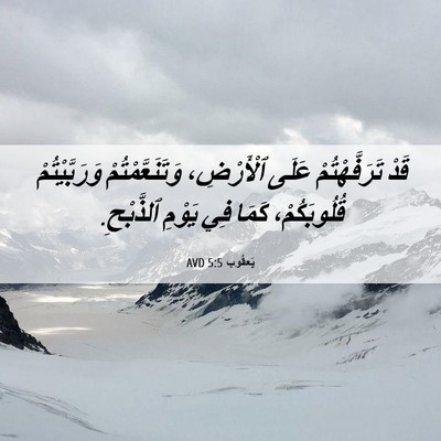 Picture 06 - يَعقُوب 5:5 AVD - قَدْ تَرَفَّهْتُمْ عَلَى - Bible Verse Picture