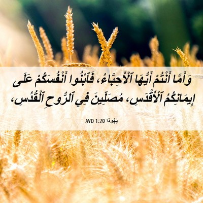 Picture 06 - يَهُوذا 1:20 AVD - وَأَمَّا أَنْتُمْ - Bible Verse Picture