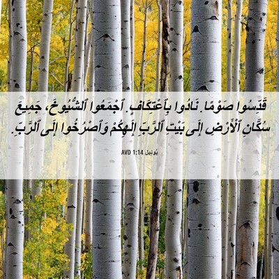 Picture 06 - يُوئِيل 1:14 AVD - قَدِّسُوا صَوْمًا. نَادُوا - Bible Verse Picture