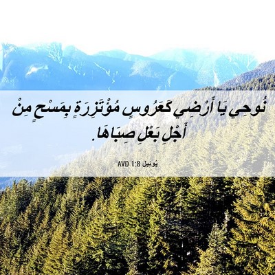 Picture 06 - يُوئِيل 1:8 AVD - نُوحِي يَا أَرْضِي - Bible Verse Picture