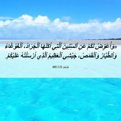 Picture 06 - يُوئِيل 2:25 AVD - «وَأُعَوِّضُ لَكُمْ عَنِ - Bible Verse Picture