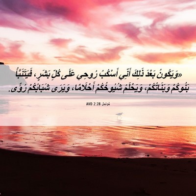 Picture 06 - يُوئِيل 2:28 AVD - «وَيَكُونُ بَعْدَ ذَلِكَ - Bible Verse Picture