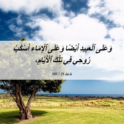 Picture 06 - يُوئِيل 2:29 AVD - وَعَلَى ٱلْعَبِيدِ - Bible Verse Picture
