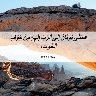 Picture 06 - يُونَان 2:1 AVD - فَصَلَّى يُونَانُ إِلَى - Bible Verse Picture