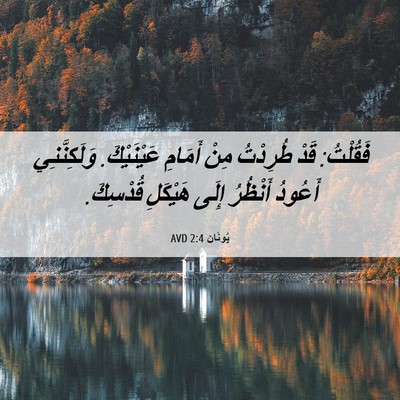 Picture 06 - يُونَان 2:4 AVD - فَقُلْتُ: قَدْ طُرِدْتُ - Bible Verse Picture