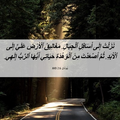 Picture 06 - يُونَان 2:6 AVD - نَزَلْتُ إِلَى أَسَافِلِ - Bible Verse Picture