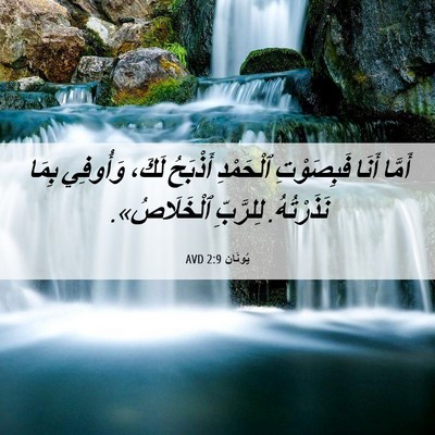 Picture 06 - يُونَان 2:9 AVD - أَمَّا أَنَا فَبِصَوْتِ - Bible Verse Picture