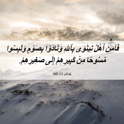 Picture 06 - يُونَان 3:5 AVD - فَآمَنَ أَهْلُ نِينَوَى - Bible Verse Picture