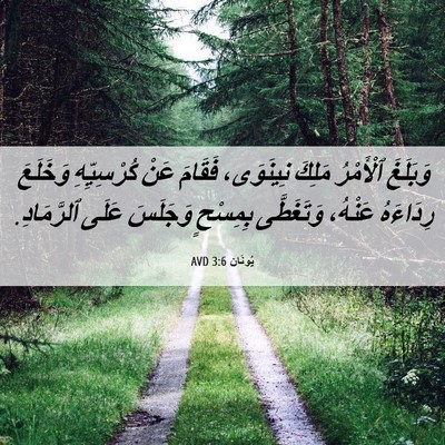 Picture 06 - يُونَان 3:6 AVD - وَبَلَغَ ٱلْأَمْرُ مَلِكَ - Bible Verse Picture