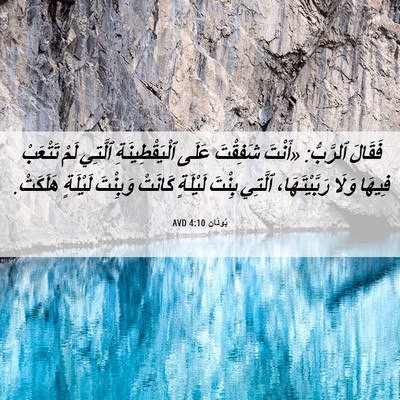 Picture 06 - يُونَان 4:10 AVD - فَقَالَ ٱلرَّبُّ: «أَنْتَ - Bible Verse Picture