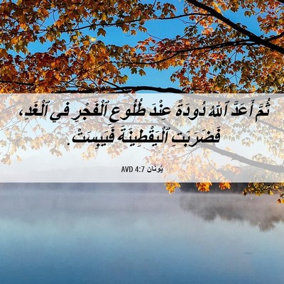Picture 06 - يُونَان 4:7 AVD - ثُمَّ أَعَدَّ ٱللهُ - Bible Verse Picture