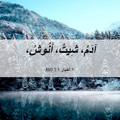 Picture 06 - ١ أخبار 1:1 AVD - آدَمُ، شِيتُ، - Bible Verse Picture