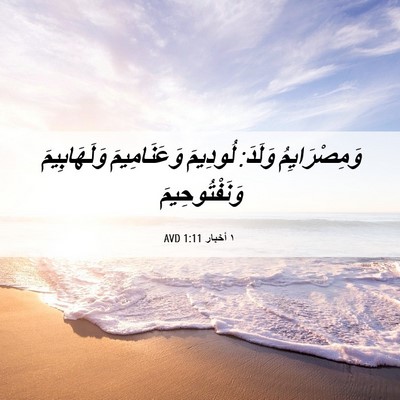Picture 06 - ١ أخبار 1:11 AVD - وَمِصْرَايِمُ وَلَدَ: - Bible Verse Picture